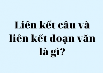 Các phép liên kết câu và đoạn văn