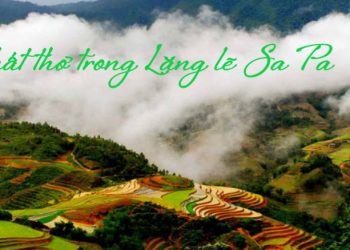 Chất thơ trong truyện ngắn “Lặng lẽ Sa Pa”