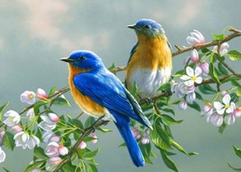 Cảm nhận khổ đầu bài “Sang thu” và “Mùa xuân nho nhỏ”