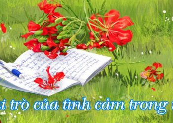 Vai trò quan trọng của tình cảm trong thơ