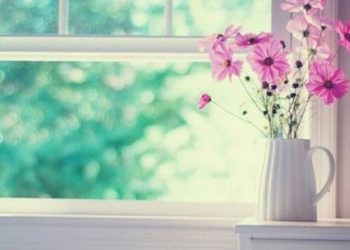 Phân tích hình ảnh người cha trong “Vừa nhắm mắt vừa mở cửa sổ”