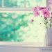 Phân tích hình ảnh người cha trong “Vừa nhắm mắt vừa mở cửa sổ”
