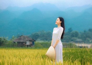 Đọc – hiểu “Vẻ đẹp của một bài ca dao”