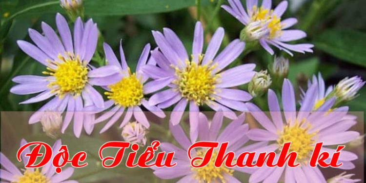 Phân tích bài thơ “Độc Tiểu Thanh ký”