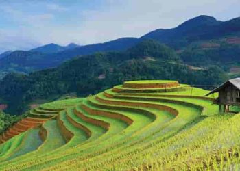 Lặng lẽ Sa Pa - Dàn bài chi tiết