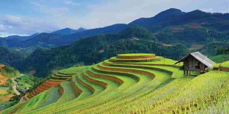 Lặng lẽ Sa Pa - Dàn bài chi tiết