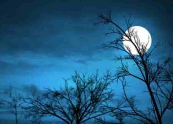 Đạo lý uống nước nhớ nguồn qua bài thơ Ánh trăng