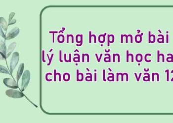 Tổng hợp mở bài lý luận văn học hay bài làm văn 12