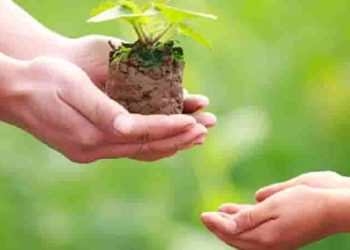 Nghị luận xã hội "Cho đi... là còn mãi"