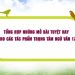 Tổng hợp những mở bài tuyệt hay cho các tác phẩm trọng tâm Ngữ văn 12