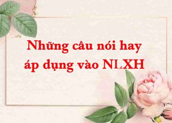 Những câu nói hay áp dụng vào NLXH