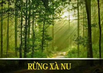 Soạn bài Rừng xà nu - Tác giả, tác phẩm, dàn ý chi tiết