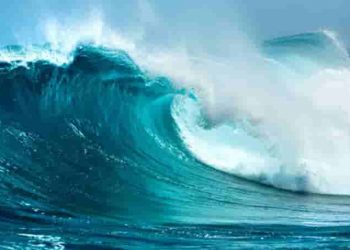 Cảm nhận về hình tượng sóng và em qua 4 khổ thơ đầu bài Sóng - Xuân Quỳnh