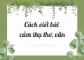 Cách viết bài cảm thụ thơ, văn
