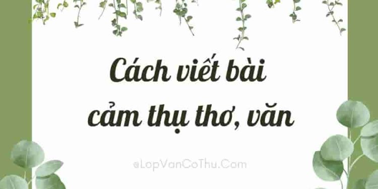 Cách viết bài cảm thụ thơ, văn