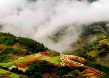 Anh thanh niên trong Lặng lẽ Sa Pa - "Những người có lẽ sống cao đẹp đang lặng lẽ quên mình cống hiến cho Tổ quốc"