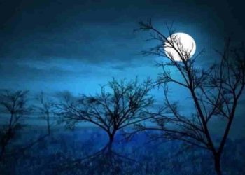 Cảm nhận về bài thơ "Ánh trăng" của Nguyễn Duy