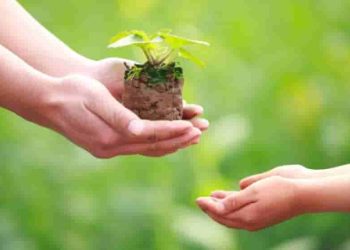 Nghị luận xã hội bàn về "Cho đi mà không cần nhận lại là niềm vui lâu dài"