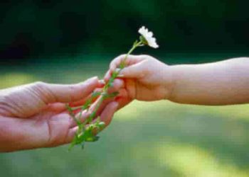 Nghị luận xã hội "Điều kì diệu của sự sẻ chia"