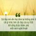 Cái đẹp mà văn học đem lại không phải cái gì khác hơn là cái đẹp của sự thật đời sống được khám phá một cách nghệ thuật.