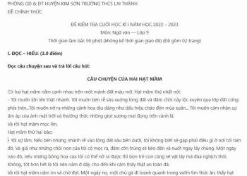 Đề thi học kỳ 1 môn Ngữ văn 9 trường THCS Lai Thành (Ninh Bình) năm học 2022-2023