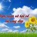 Nghị luận xã hội bàn về "Thế nào là sống đẹp"