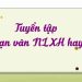 Tuyển tập 20 đoạn văn Nghị luận xã hội hay để rèn luyện cách viết văn
