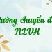 Ý tưởng chuyển đoạn giúp bài văn NLVH thêm sâu sắc