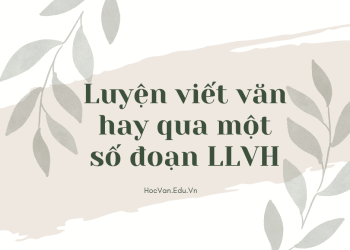 Luyện viết văn hay qua một số đoạn lý luận văn học