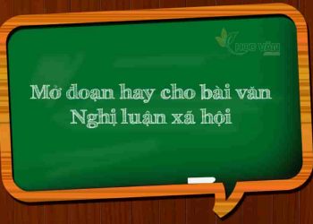 Chinh phục nghị luận xã hội bằng những cách mở đoạn cuốn hút
