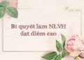 Một số kỹ năng hay cho bài văn nghị luận văn học