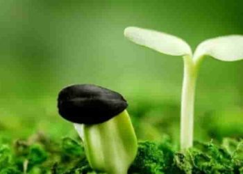 [NLXH] Để trưởng thành hơn những thử thách và thất bại bao giờ cũng là điều cần thiết
