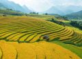Cách phân tích dẫn chững khi làm văn nghị luận văn học