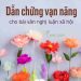 Dẫn chứng nghị luận xã hội cho mọi dạng đề