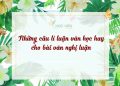 Để bài văn sắc sảo hơn với những câu lí luận văn học hay