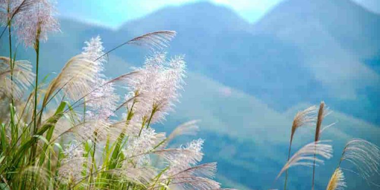 Khi tác phẩm kết thúc, ấy là lúc cuộc sống của nó mới thực sự bắt đầu