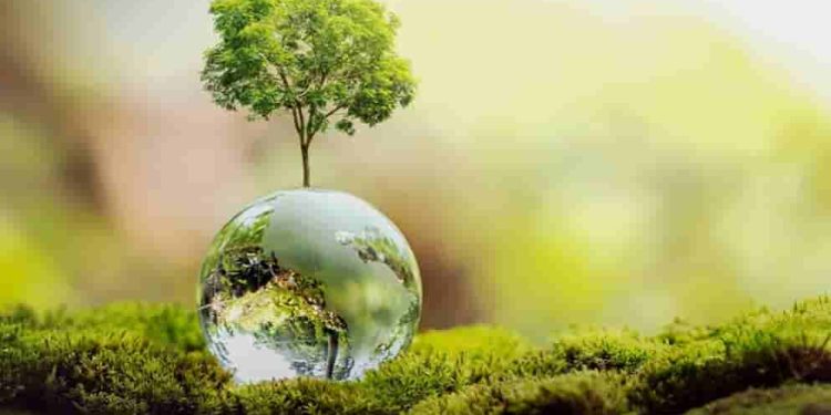 Những nhận định hay về truyện ngắn và kinh nghiệm viết truyện ngắn