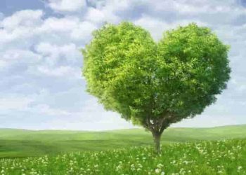Tổng hợp các công thức mở bài nâng cao