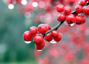Chức năng của văn học thường vận động, biến đổi theo sự đổi thay của đời sống xã hội