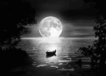 Cuộc đời nhà thơ, giá trị nhà thơ không nên tìm đâu xa mà ngay trong chính tác phẩm của họ