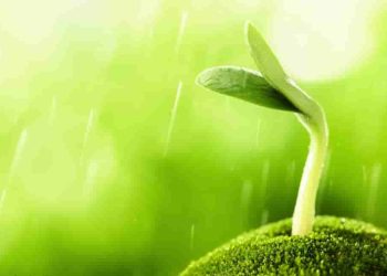 Học cách diễn đạt qua những đoạn văn nghị luận xã hội xuất sắc