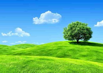 Cách đưa kiến thức lí luận vào bài viết nghị luận văn học