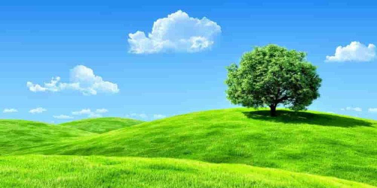 Cách đưa kiến thức lí luận vào bài viết nghị luận văn học