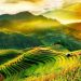 Những yếu tố cần thiết để phân tích một tác phẩm thơ