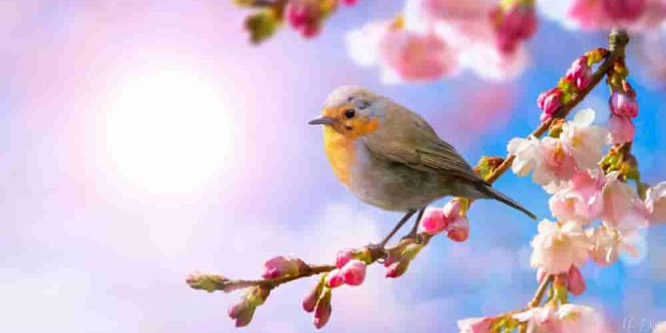 Những hình ảnh ẩn dụ về tuổi trẻ cùng thông điệp sâu sắc