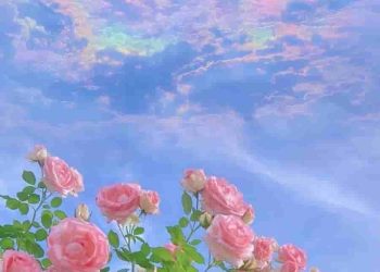 Phân tích, đánh giá nét đặc sắc nội dung và nghệ thuật của bài thơ “Khoảng trời yêu dấu” - Nguyễn Khoa Điềm
