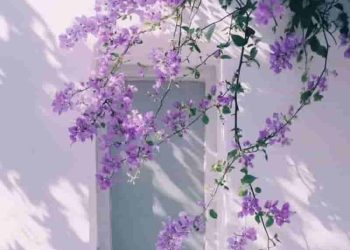 8 cách chuyển đoạn cực hay khi phân tích thơ