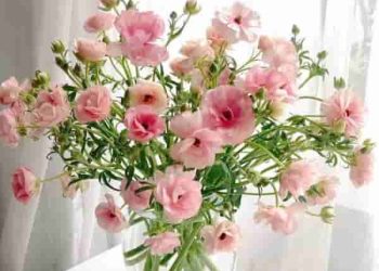 Bài văn trình bày suy nghĩ của em về việc tôn trọng sự khác biệt