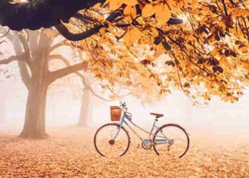 Phân tích bài thơ Mùa thu cho con của Nguyễn Hà Thu Sương