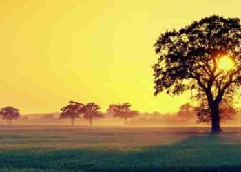 So sánh hai bài thơ "Chiều thu" của hai nhà thơ Nguyễn Bính và Anh Thơ